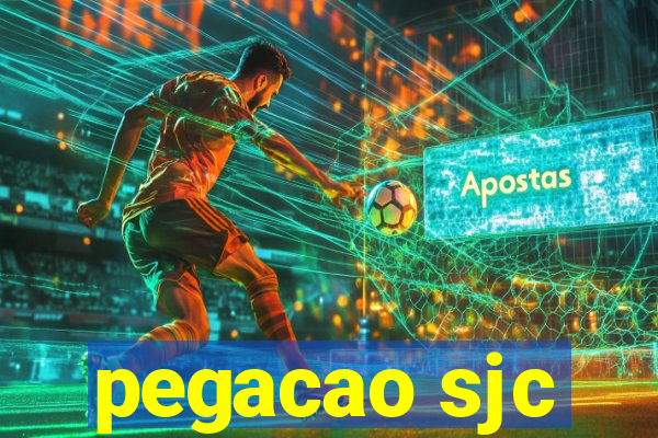 pegacao sjc